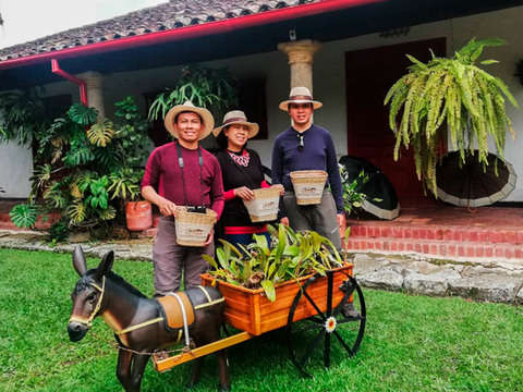 Tour del Café en Una Hacienda Colombiana desde Bogota