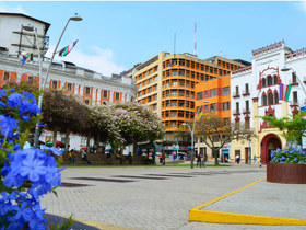 Provincia Sur (Cauca)